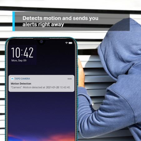 P-Link Pan/Tilt Home Security Wi-Fi Camera