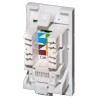 Cat5e UTP RJ45 Modules - Low Profile Euromod Size